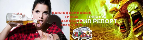 спиды Арсеньев