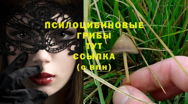спиды Арсеньев
