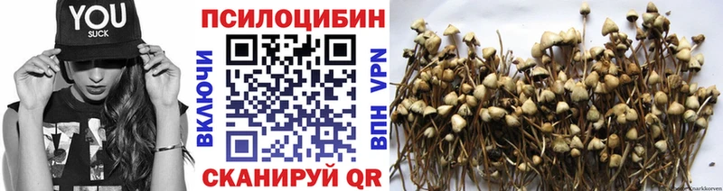 Псилоцибиновые грибы Magic Shrooms  что такое наркотик  Асино 